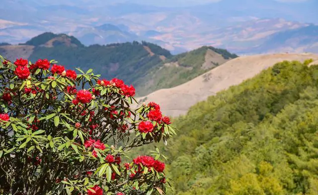 河南最高峰老鸦岔垴风景介绍