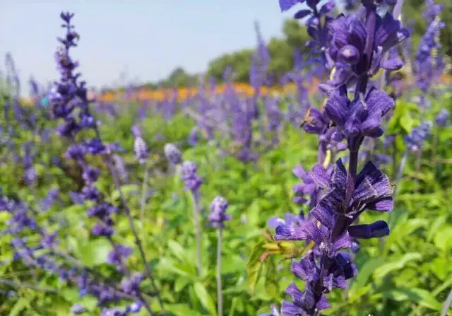 北京周边有哪些适合周末自驾游的地方？