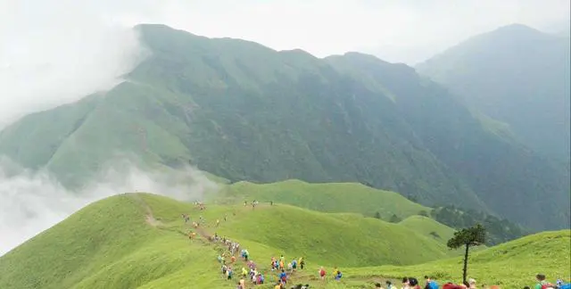 五一带孩子去江西哪里玩比较好呢？