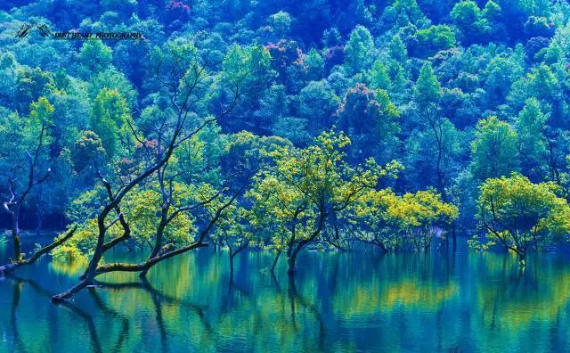 退休后老人自驾游有哪些优势和弊端，需要注意哪些问题？