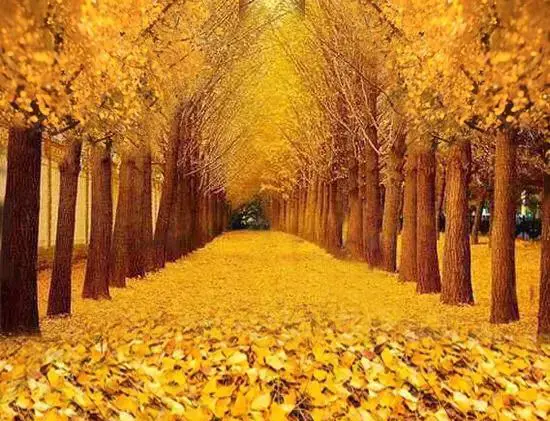 北京有没有比较小众有趣的景点？