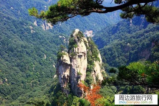 伏牛山是秦岭余脉吗？沿线都有哪些景区景点？