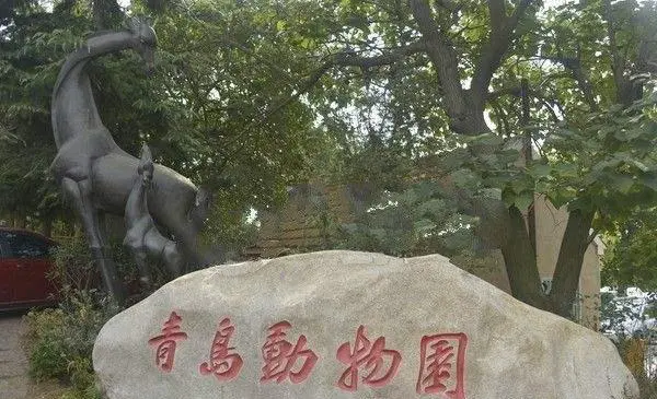 青岛周边有哪些好玩的地方适合带家人和孩子去的？