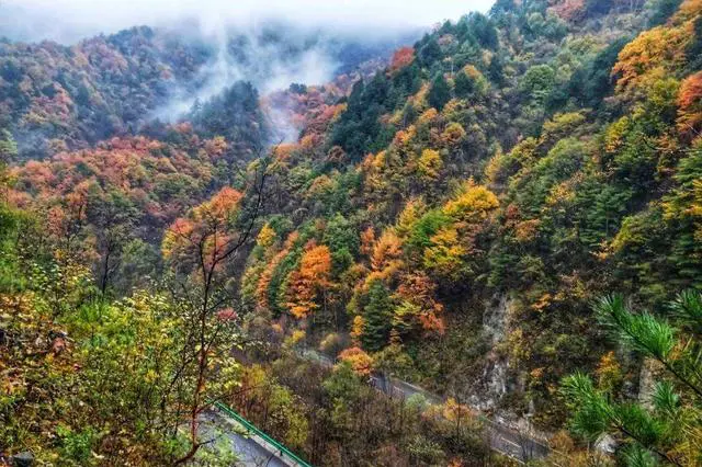 从郑州岀发自驾秦岭赏红叶走省道,环线,不限时间,怎么走?