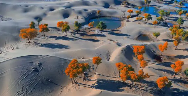 退休了，什么旅游方式最好？