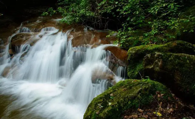 雾灵山风景区在哪里?雾灵山有什么好玩的地方?
