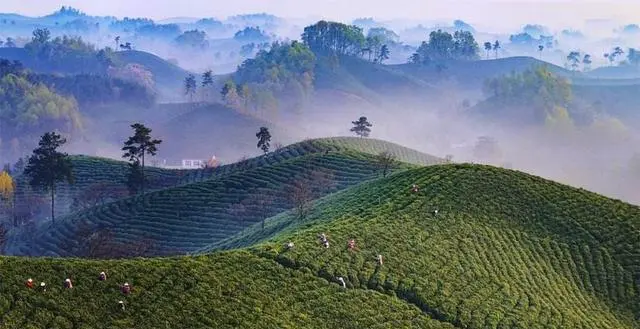 信阳哪里好玩？