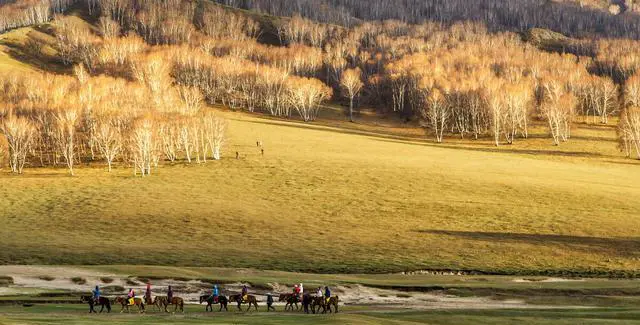 为什么张家口的草原天路被称为中国的66号公路?