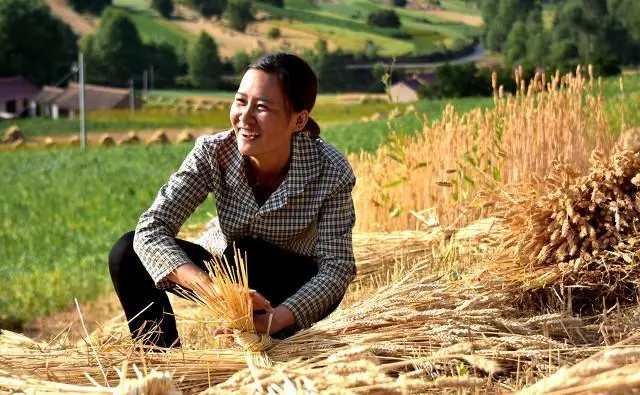 八十年代割麦子，田间吃的“晌午饭”，你还记得是什么吗？