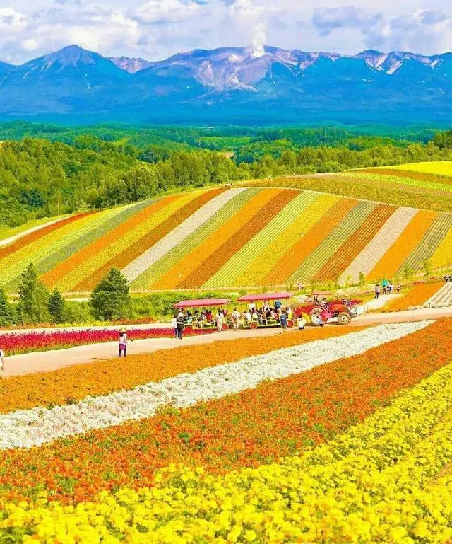 北海道有哪些不能不去的景点呢?总共花费大概要多少?