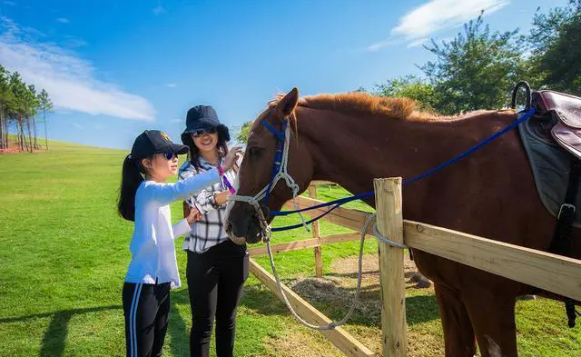 带孩子在杭州周边自驾游，去哪些地方比较好？