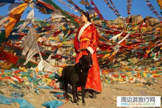 西藏、云南、广西，你会选择去哪个地方去旅行？为什么？