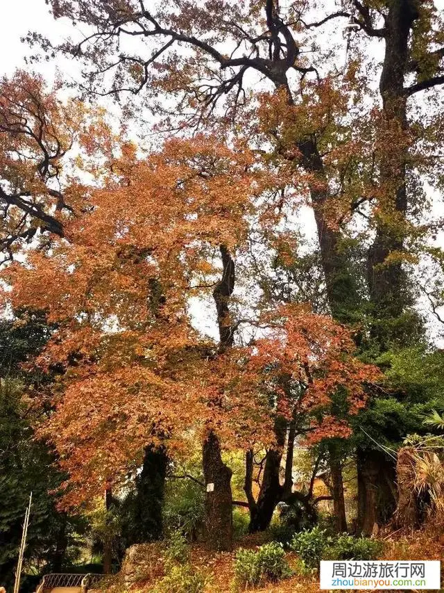 明天准备到婺源旅游，喜欢摄影，有了解的给推荐下现在婺源那些地方特别适合拍摄？