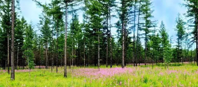 七月天气比较热，去哪里旅游更适合避暑，景色也赏心悦目？