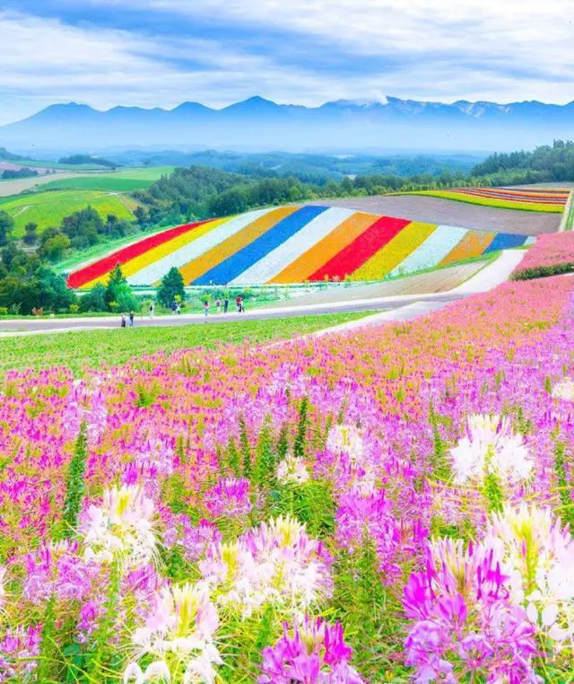 北海道有哪些不能不去的景点呢?总共花费大概要多少?