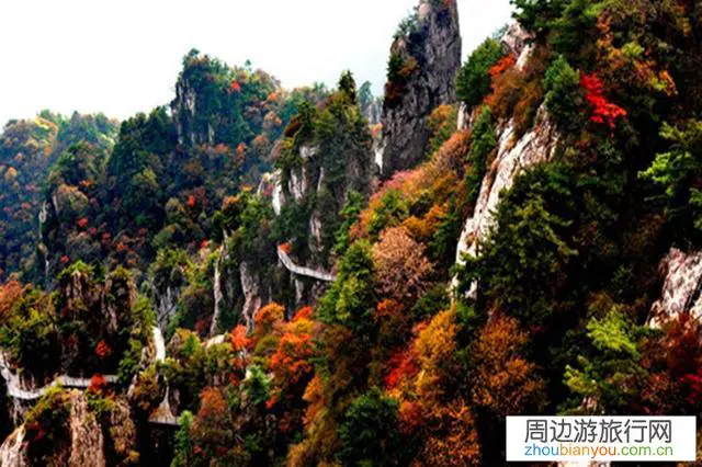 洛阳栾川老君山和嵩县白云山哪个景色好一点儿？哪个更适合旅游？