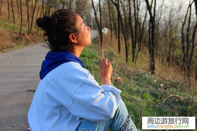 你认为自由行这种方式最适合哪类人?