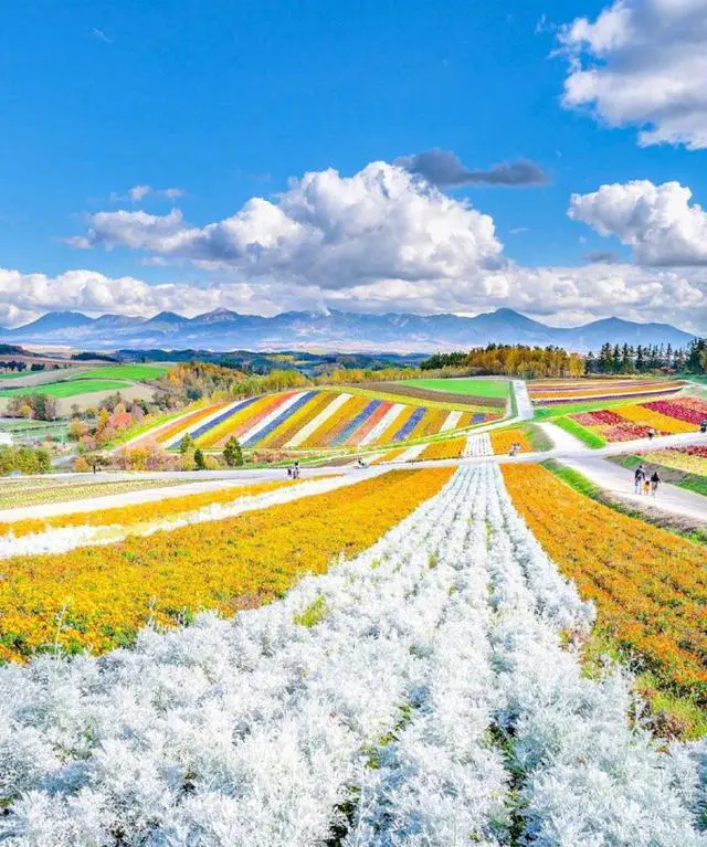 北海道有哪些不能不去的景点呢?总共花费大概要多少?