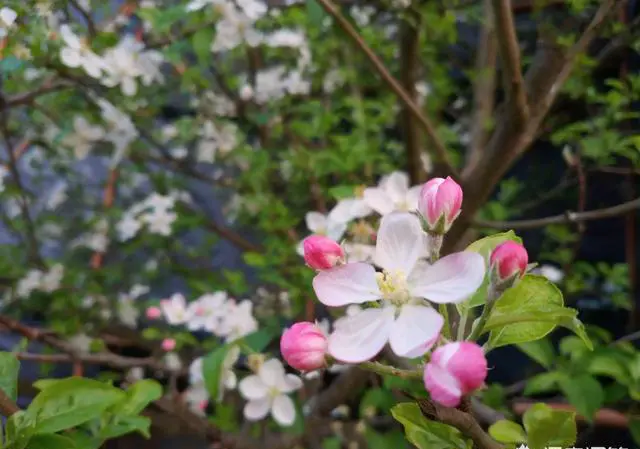 3月去云南旅游都需要做什么准备，哪些地方必须要去？