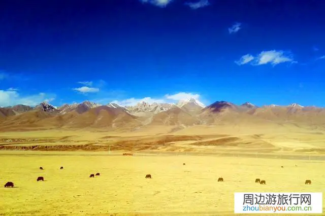 有哪些地方适合喜欢自然风光的游客乘火车出行？