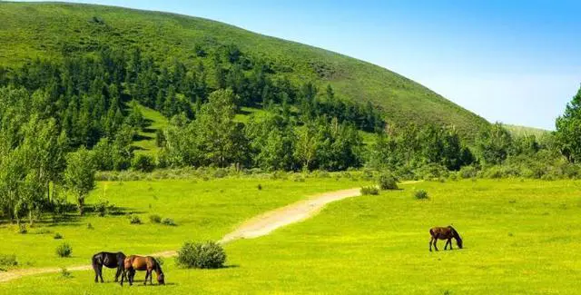 北京出发去草原玩两天来回有什么好的路线？