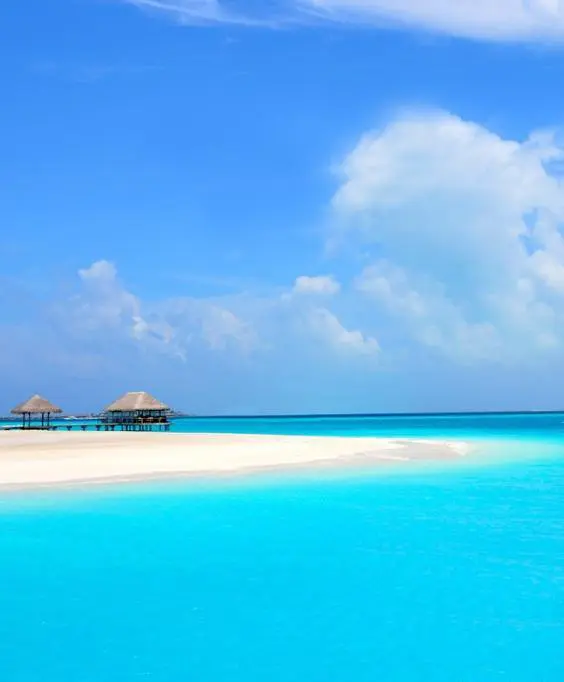 2021年，有哪些国家是免签的？