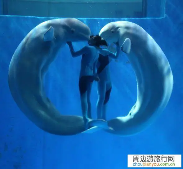 现在已经是七月份了，去哈尔滨旅游安全吗？有什么要求和注意事项？