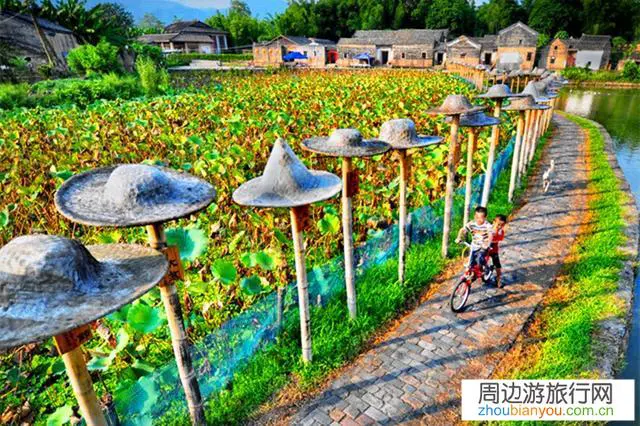 五一马上就到了，由于口罩的影响，我们该如何安排好每一天出游的计划呢？
