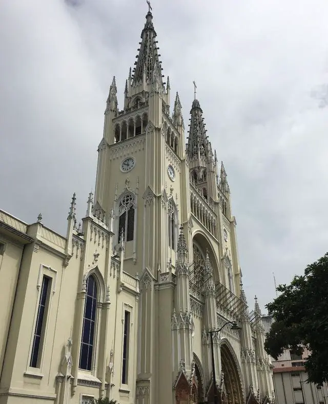 2021年，有哪些国家是免签的？