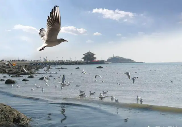 青岛有哪些吃的、玩的特别好的地方值得推荐？