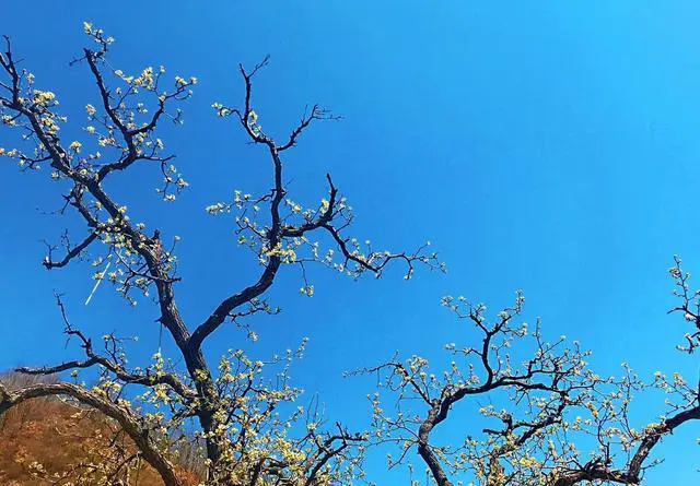 蓟县有什么好玩的景区?