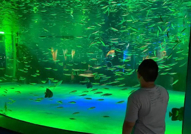 在上海上下班高峰期什么出行方式和出行策略最快?