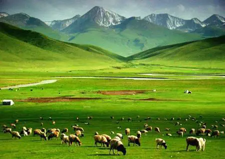 新疆巴音布鲁克好玩吗?