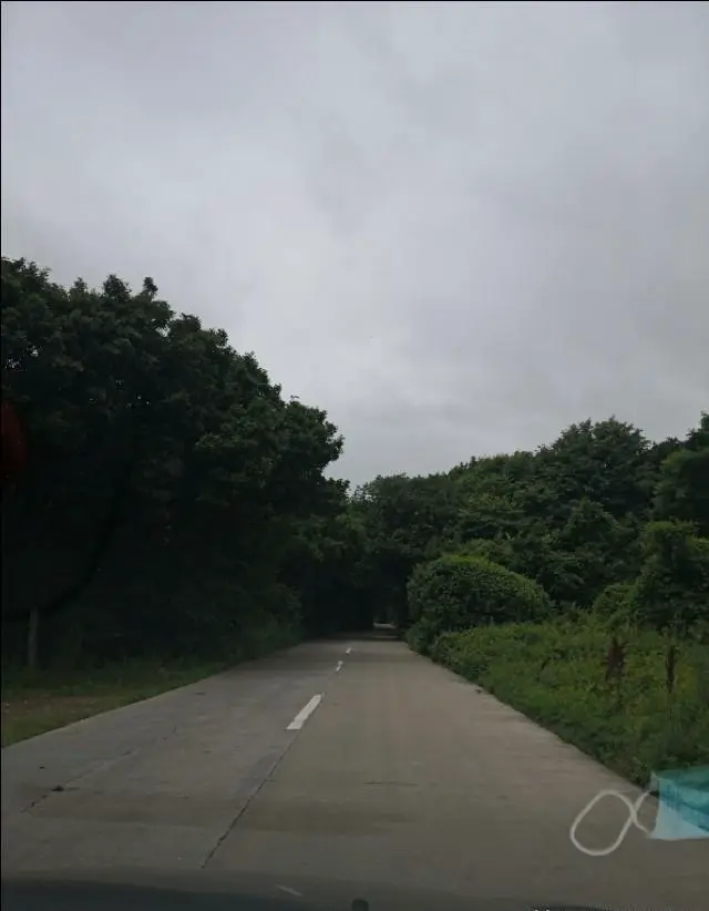 “自驾游”应注意哪些安全问题？怎样安排才能游得惬意？