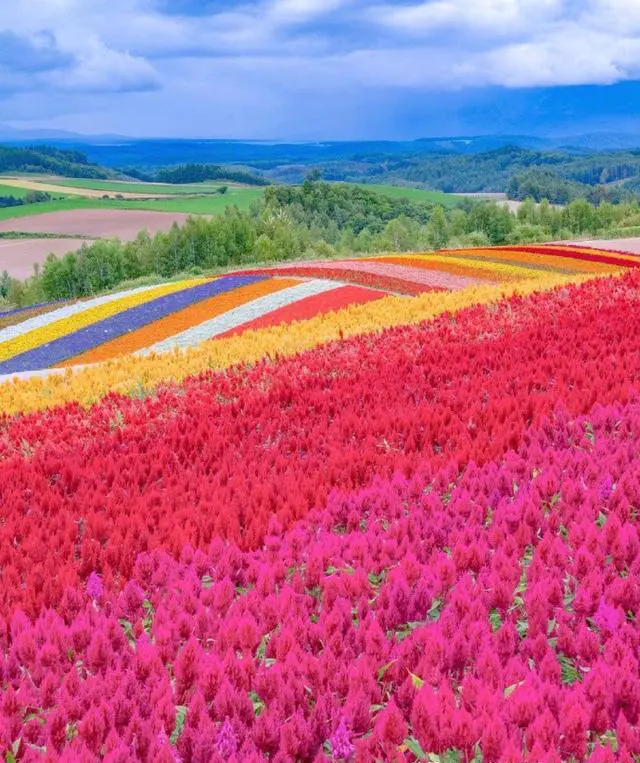 北海道有哪些不能不去的景点呢?总共花费大概要多少?