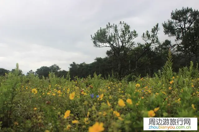 三位旅游博主在丽江开了民宿，告别都市繁华为何选择云南？