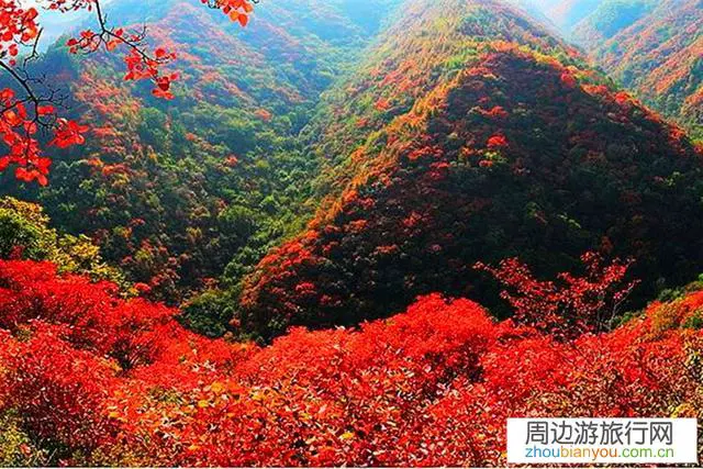 哪里适合旅游一个星期？