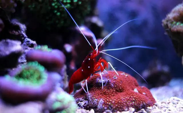 “这个世界不只有眼前的苟且，还有诗和远方”你去过最远的在哪？