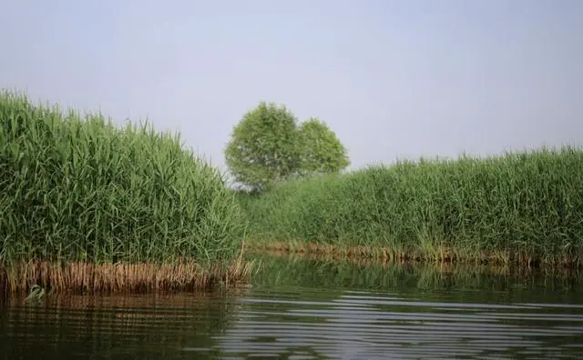 周末想去散心，保定周边有什么不错的地方推荐？