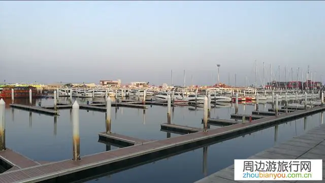 过年从天津出发去大连，沈阳哪里好。各有什么景点适合冬天？