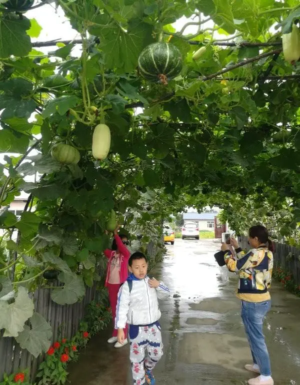 捜到北极村旅游那边靠俄罗斯近,有新冠肺炎吗?