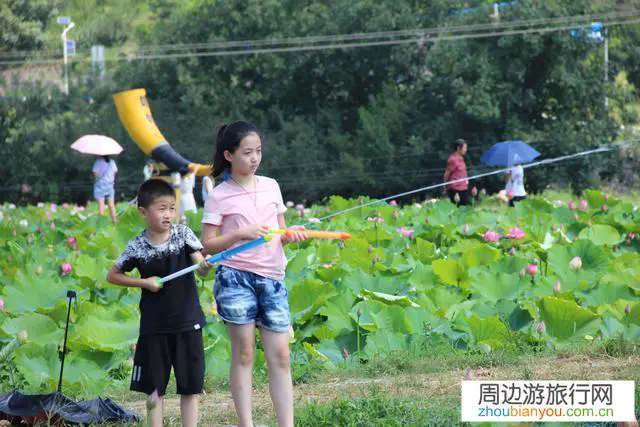 这个季节适合去哪里旅游？