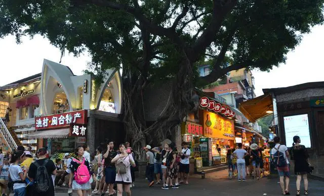 去厦门旅游去哪里好玩?什么时候去好