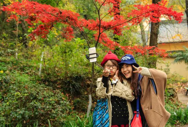 如果只能停留一天，南京旅游赏秋哪里最值得去？