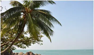 在三亚旅游，主要要去哪几个地方玩？