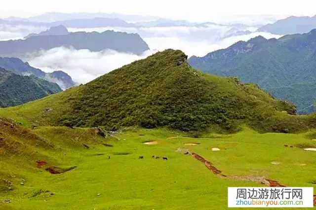 甘肃省陇南市千坝草原怎么样？