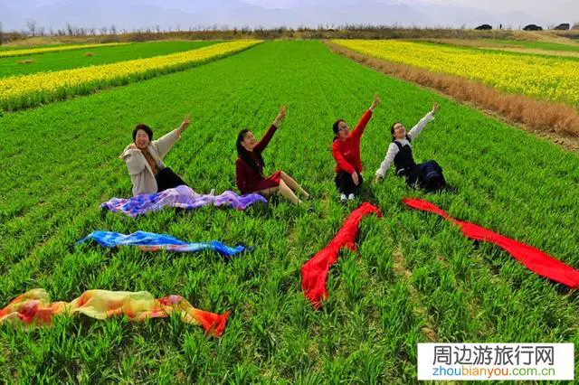 清明假期该不该出门旅游？