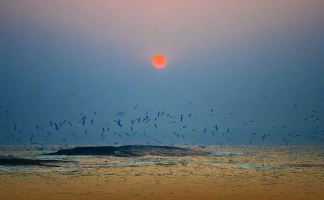 给你5000元让你去山东一周游,你最想去哪些地方玩?