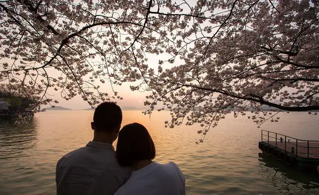 观赏樱花在国内去哪里最好？