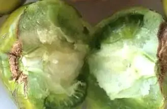 出门旅游必吃的不出名小吃有哪些？